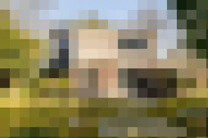Bavelselaan 323 Breda thumbnail 9