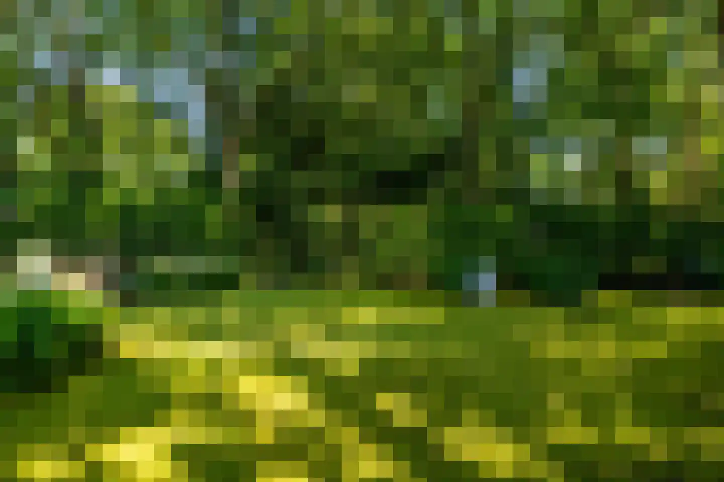 Bavelselaan 327 Breda thumbnail 10