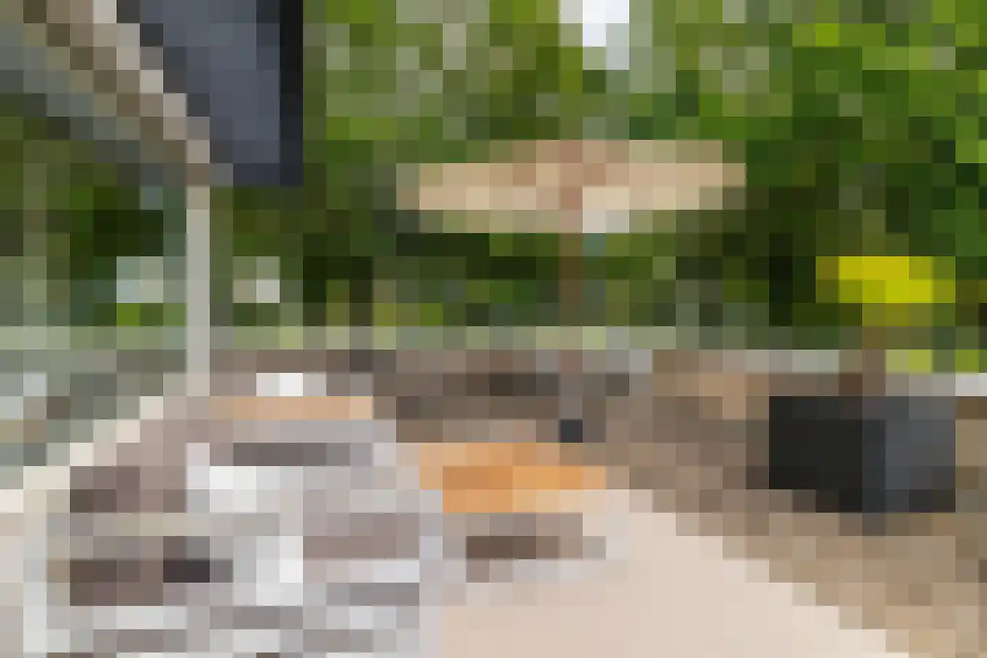 Bavelselaan 327 Breda thumbnail 25