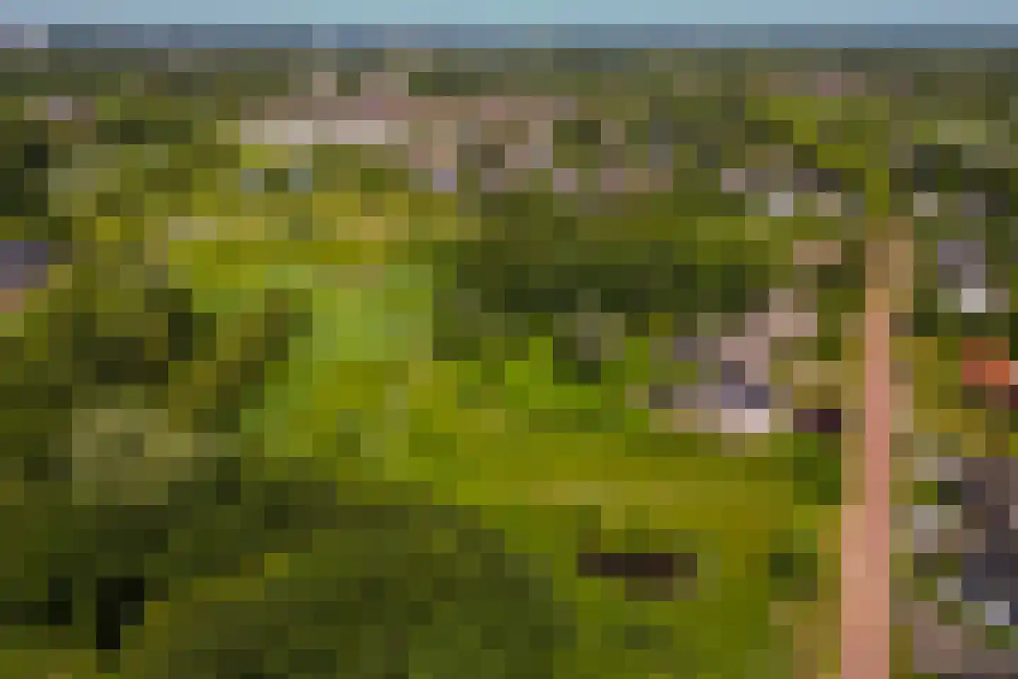 Bavelselaan 327 Breda thumbnail 65