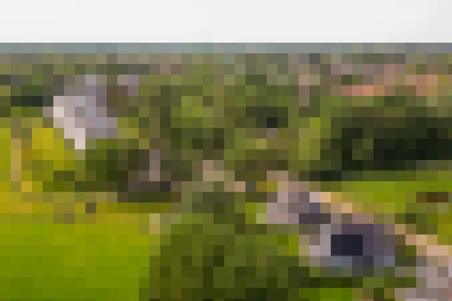 Bavelselaan 327 Breda thumbnail 66