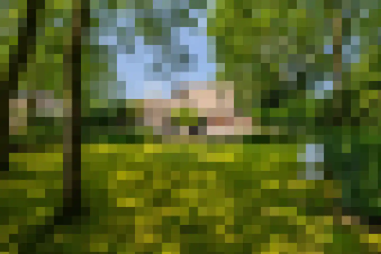 Bavelselaan 327 Breda thumbnail 68