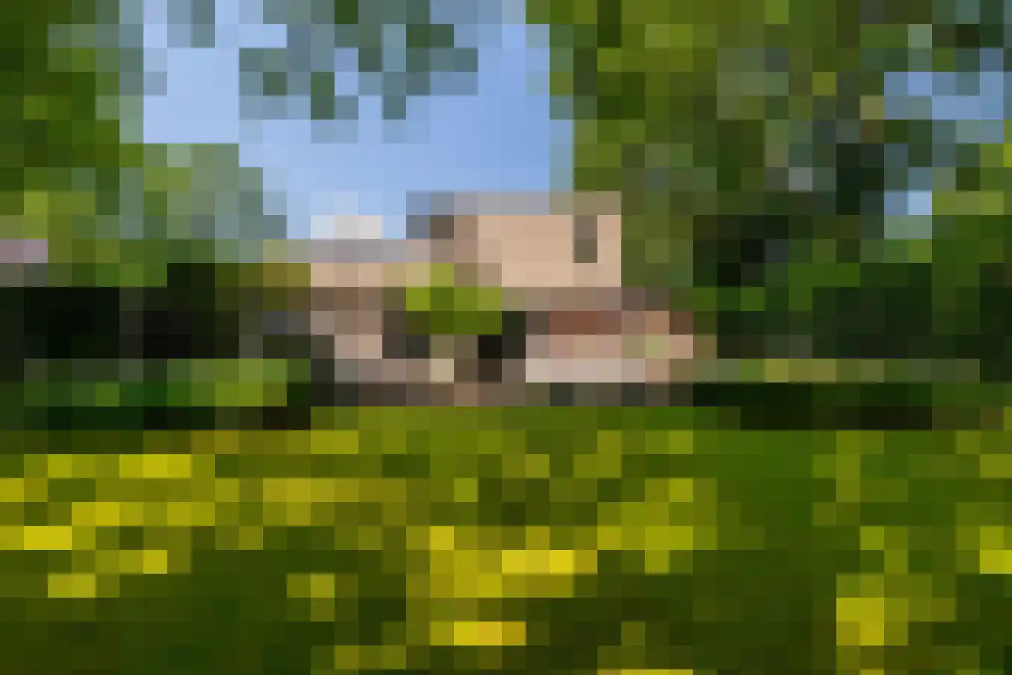 Bavelselaan 327 Breda thumbnail 69