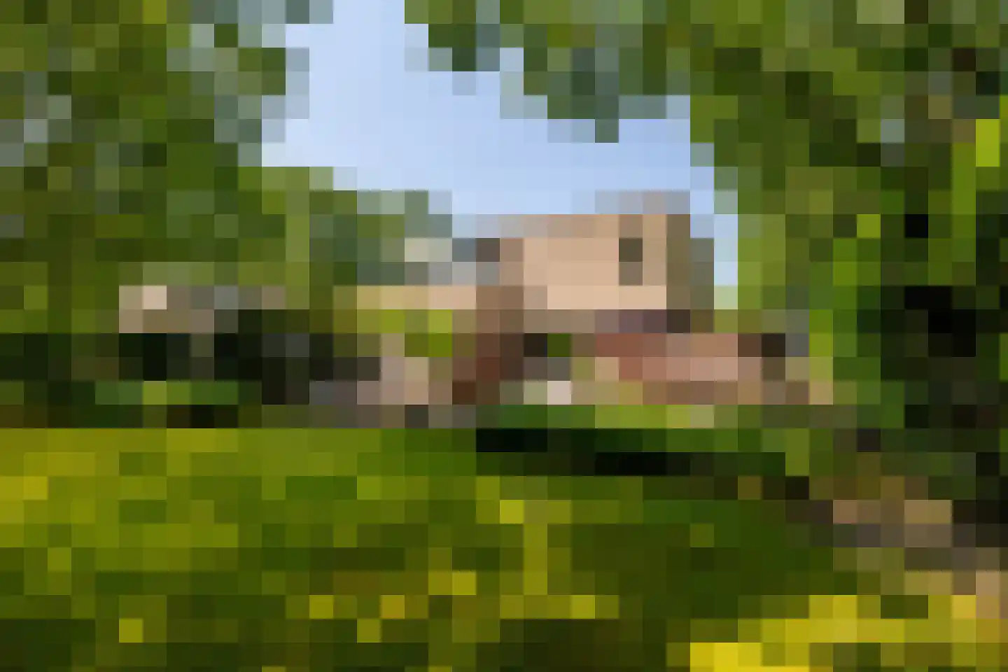 Bavelselaan 327 Breda thumbnail 8