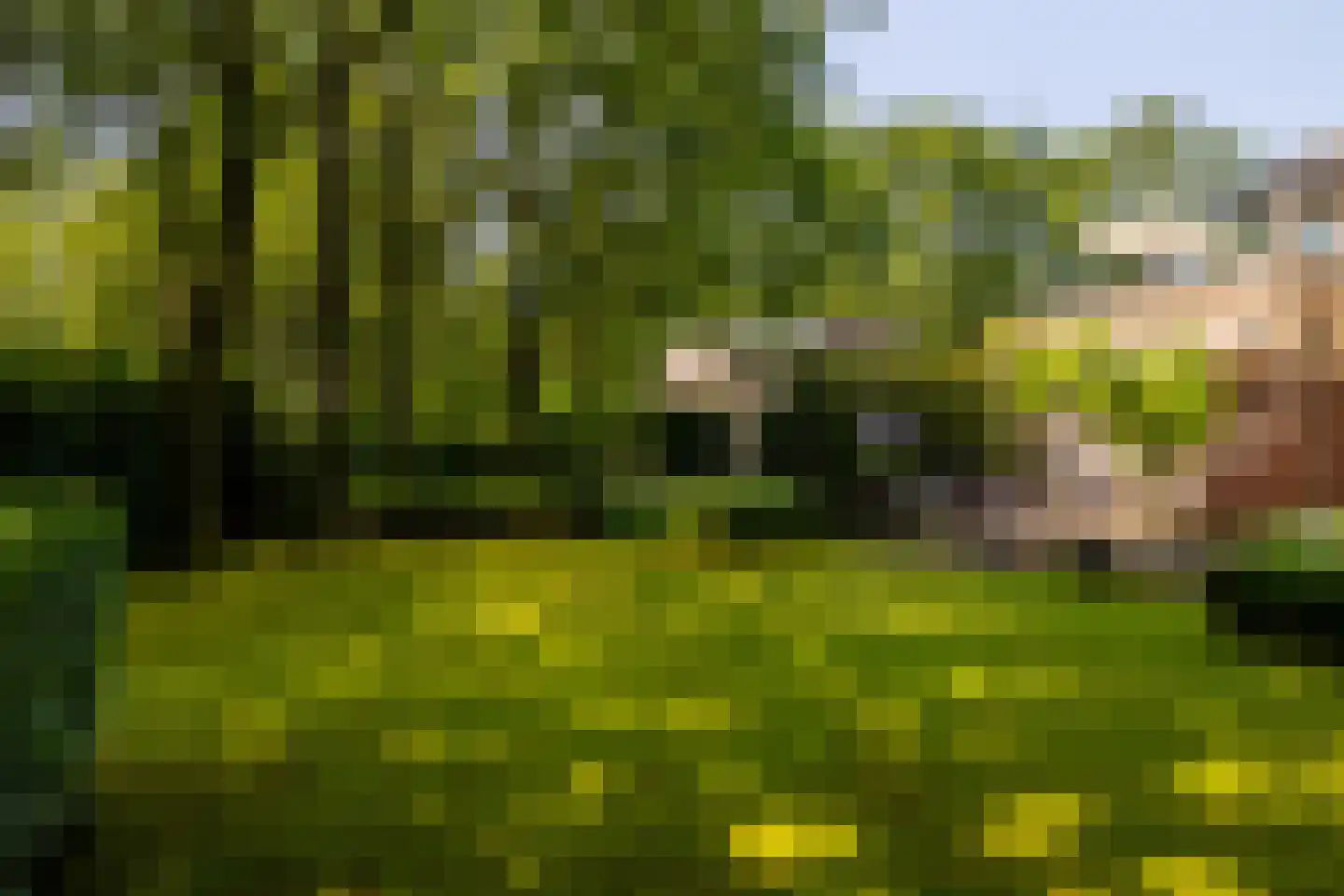 Bavelselaan 327 Breda thumbnail 9