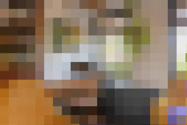 Bavelselaan 331 Breda thumbnail 15