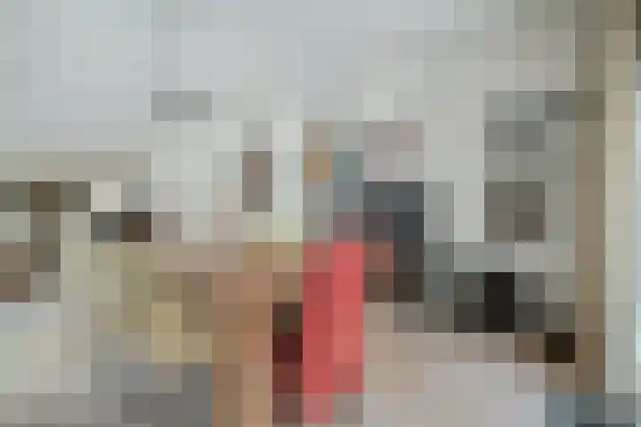 Bavelselaan 331 Breda thumbnail 26