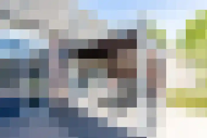 Bavelselaan 331 Breda thumbnail 4