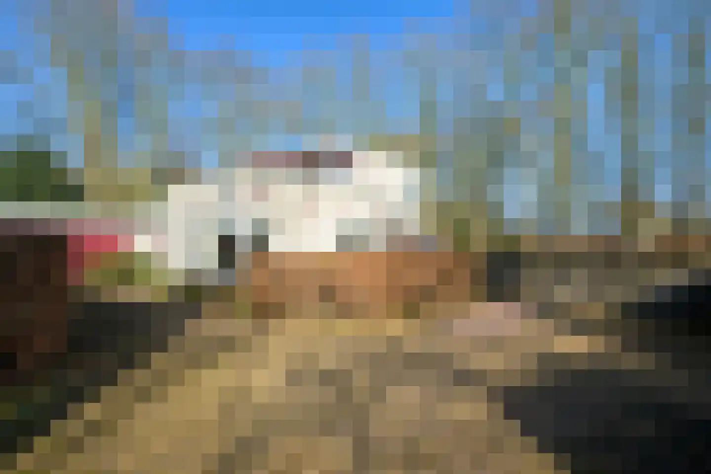 Bavelselaan 331 Breda thumbnail 6