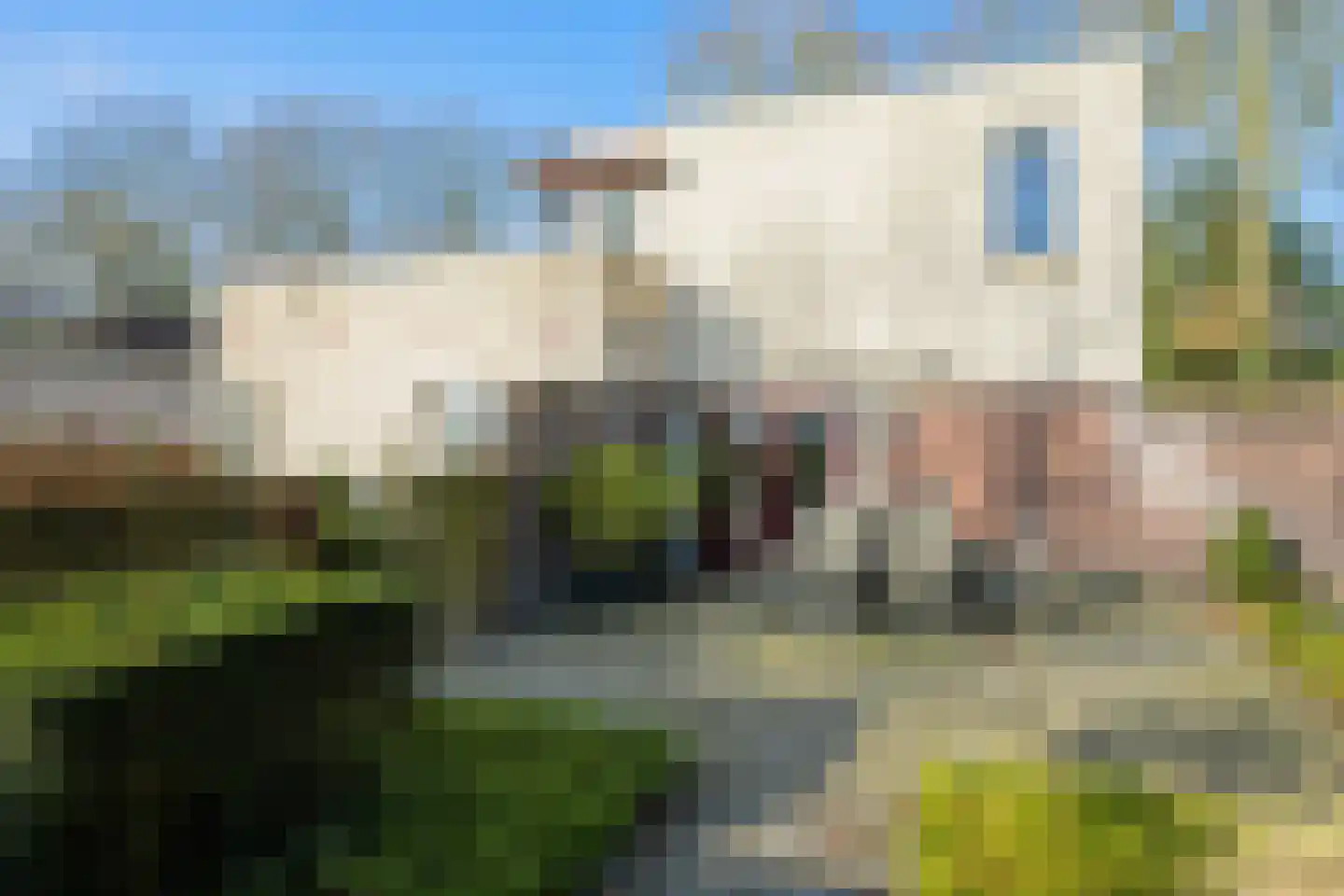 Bavelselaan 331 Breda thumbnail 65
