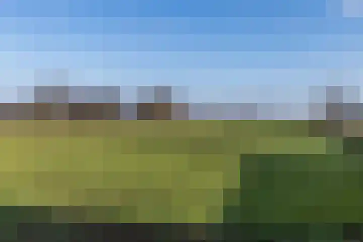 Bavelselaan 331 Breda thumbnail 67