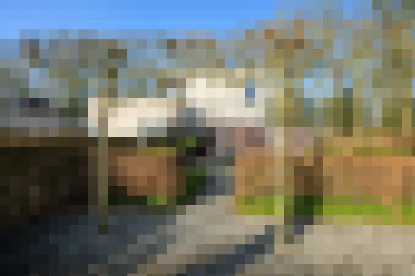 Bavelselaan 331 Breda thumbnail 69