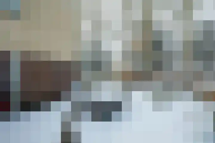 Bavelselaan 331 Breda thumbnail 70