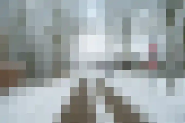 Bavelselaan 331 Breda thumbnail 83