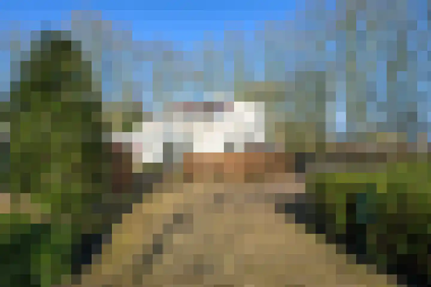 Bavelselaan 331 Breda thumbnail 9