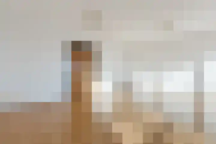 Bavelselaan 372 Breda thumbnail 4