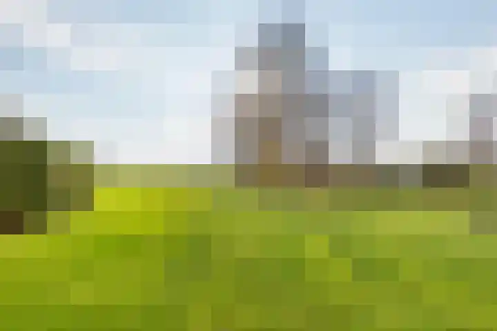 Bavelselaan 398 Breda thumbnail 21