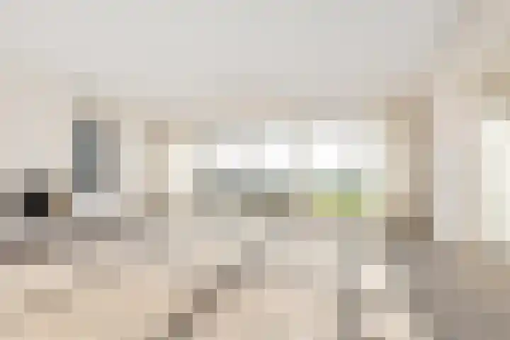 Bavelselaan 398 Breda thumbnail 4
