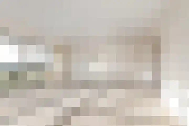 Bavelselaan 398 Breda thumbnail 5