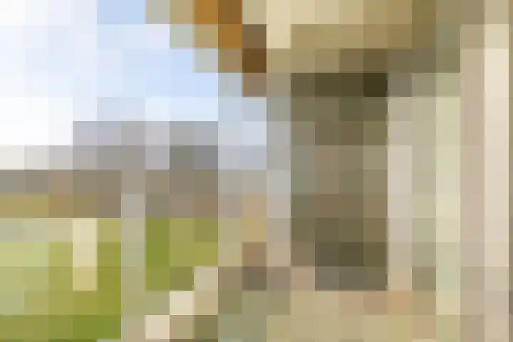 Bavelselaan 398 Breda thumbnail 7