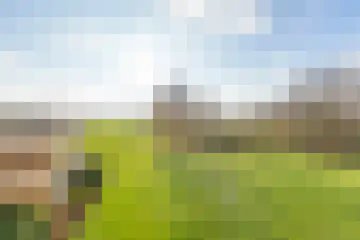 Bavelselaan 398 Breda thumbnail 8