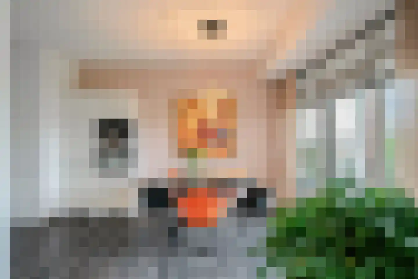 Bavelselaan 404 Breda thumbnail 14
