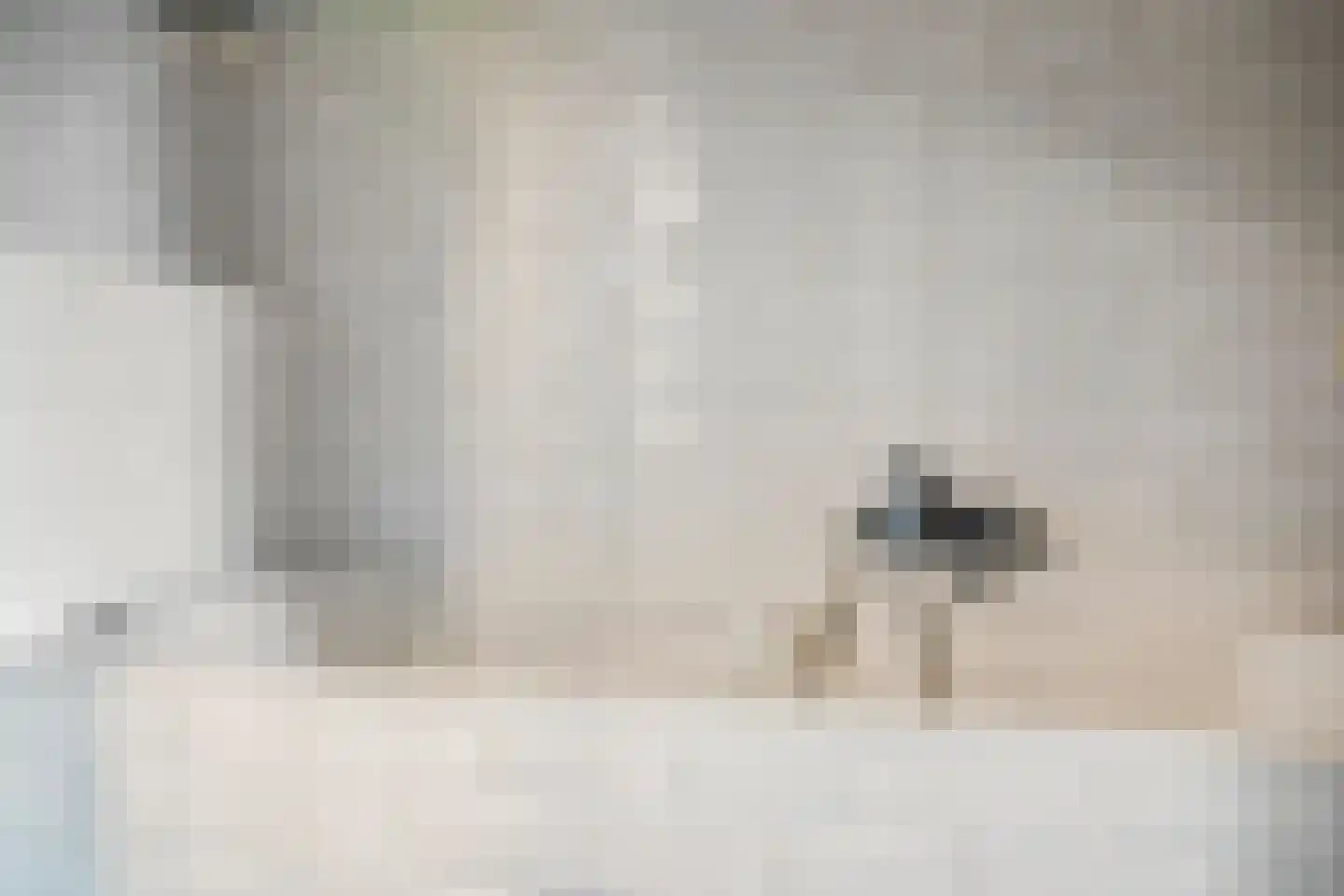 Bavelselaan 404 Breda thumbnail 25