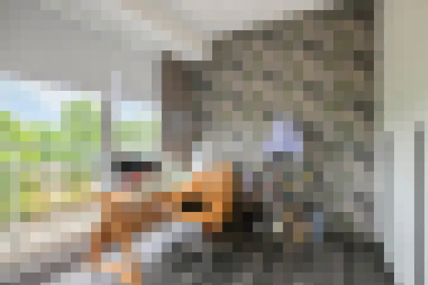 Bavelselaan 404 Breda thumbnail 26