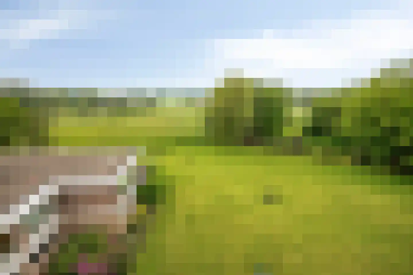 Bavelselaan 404 Breda thumbnail 9