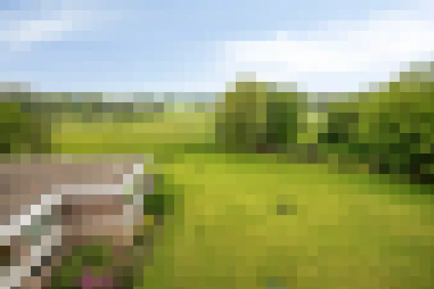 Bavelselaan 404 Breda thumbnail 9