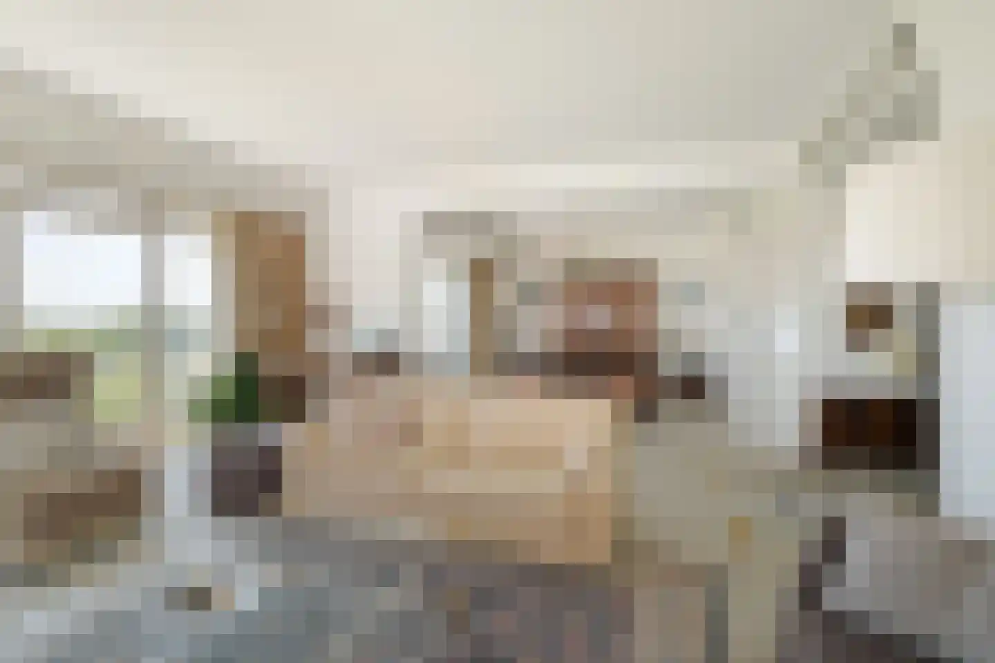 Bavelselaan 414 Breda thumbnail 14