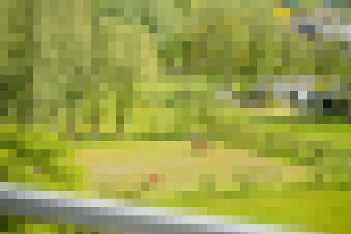 Bavelselaan 414 Breda thumbnail 23