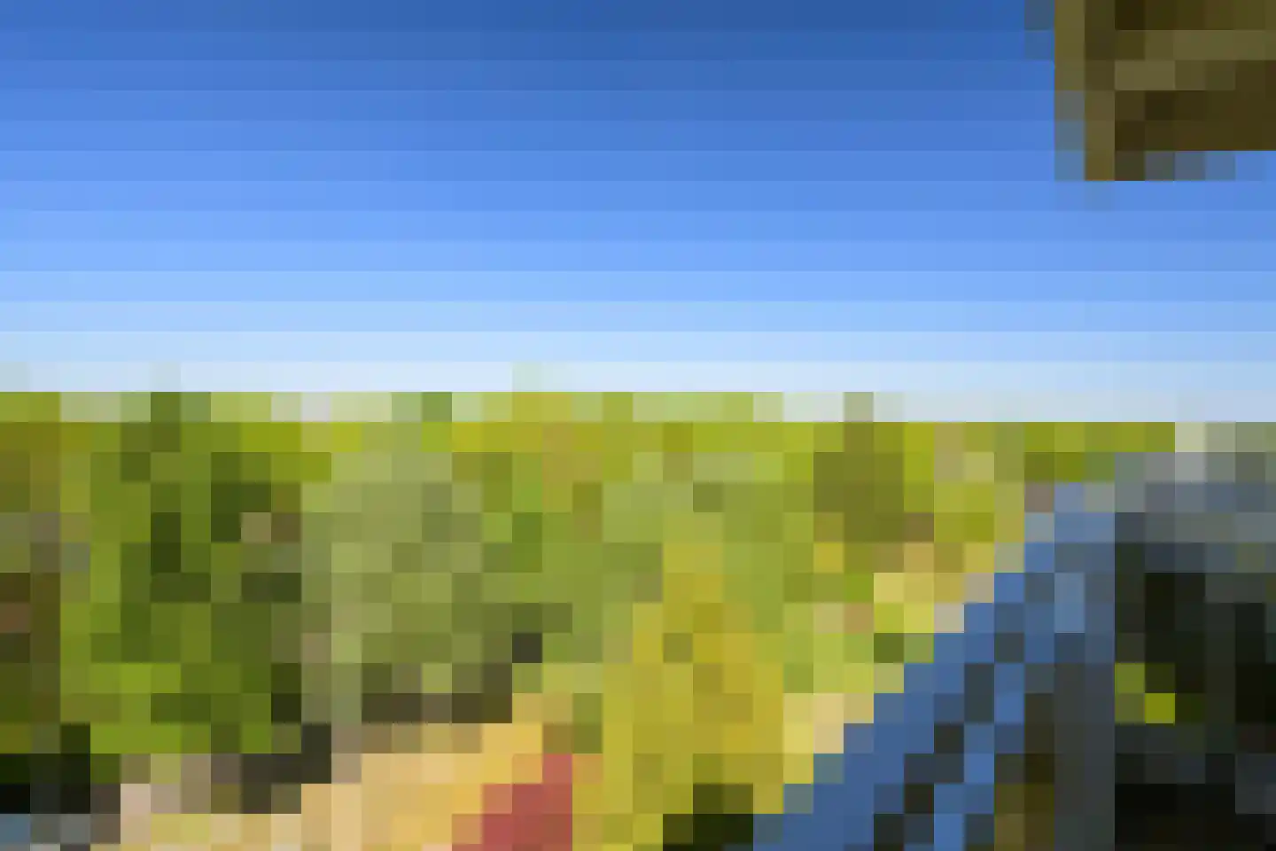 Bavelselaan 414 Breda thumbnail 32