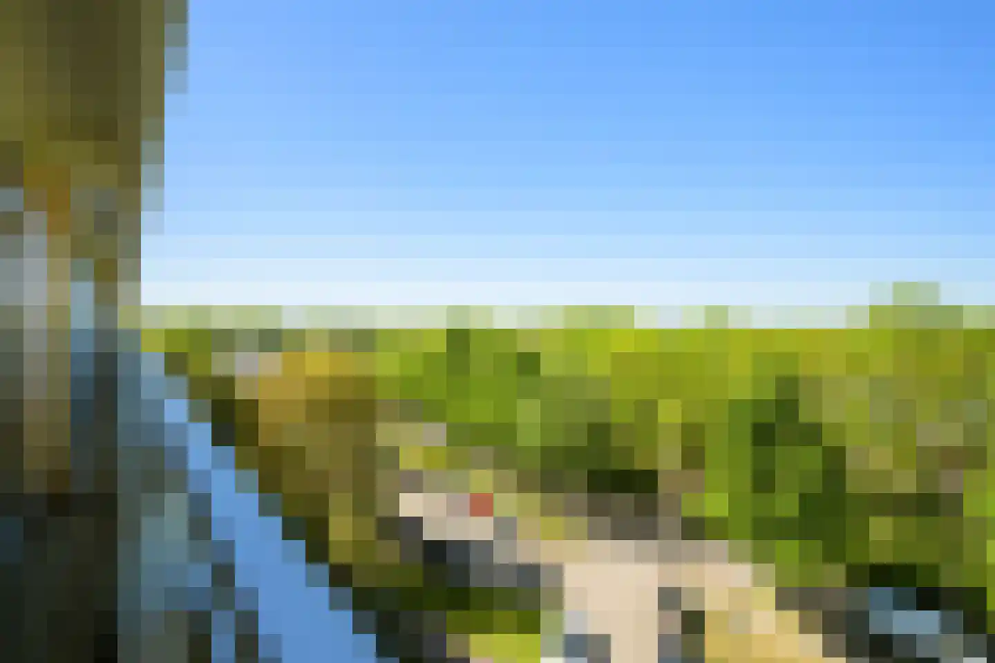 Bavelselaan 414 Breda thumbnail 33