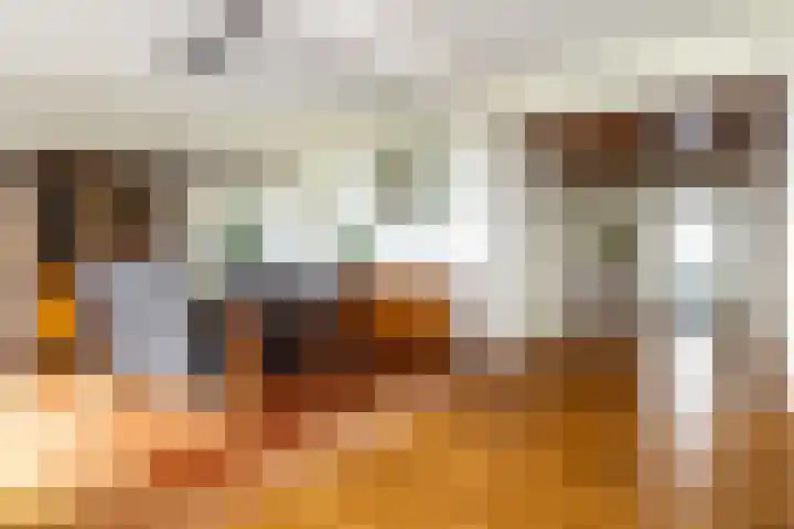 Bavelselaan 418 Breda thumbnail 12
