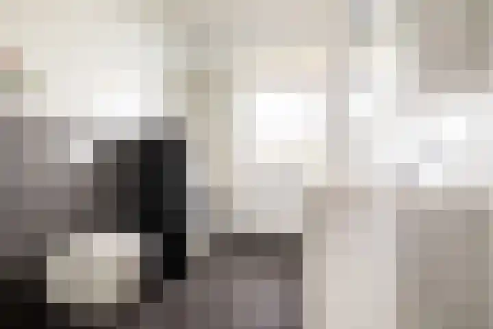 Bavelselaan 418 Breda thumbnail 23