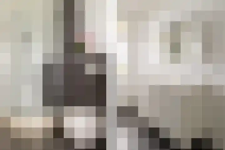 Bavelselaan 418 Breda thumbnail 24