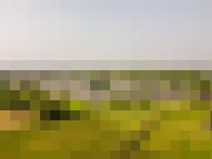 Bavelselaan 418 Breda thumbnail 38