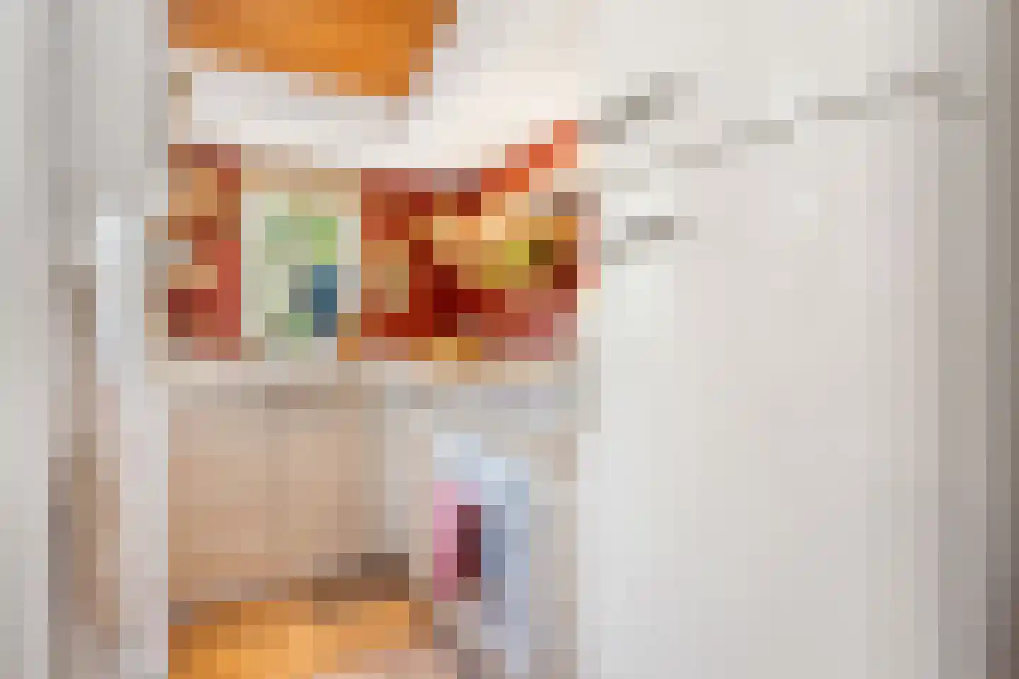 Bavelselaan 43 Breda thumbnail 16