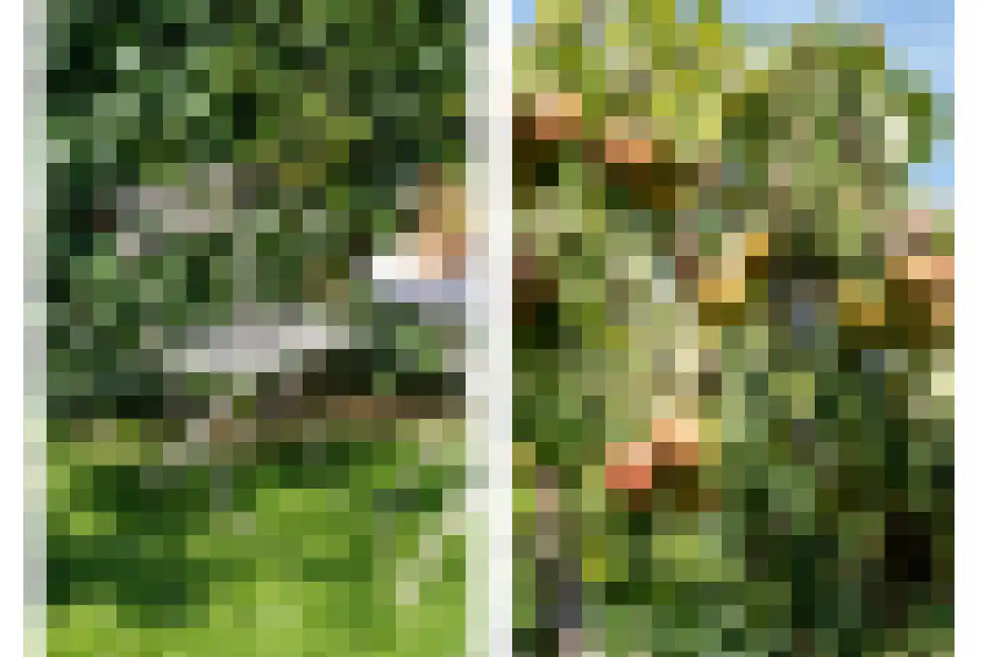Bavelselaan 43 Breda thumbnail 19