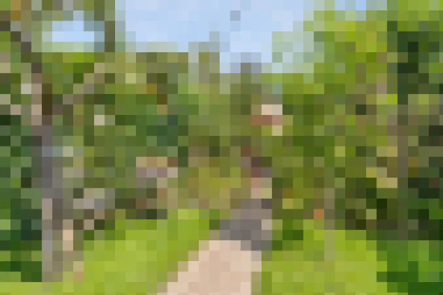 Bavelselaan 43 Breda thumbnail 21