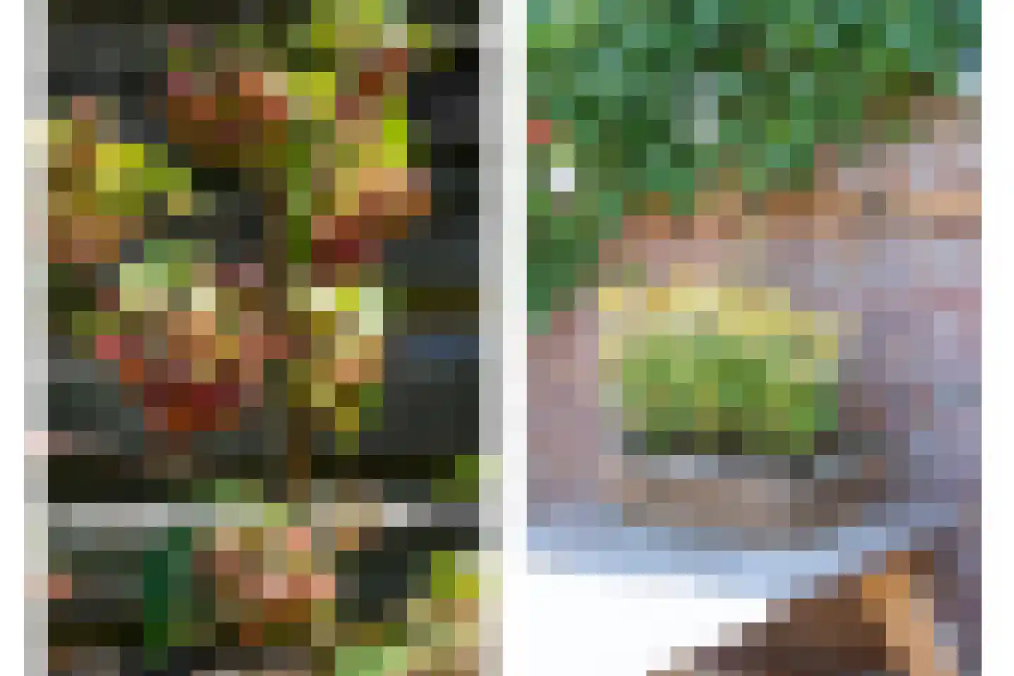 Bavelselaan 43 Breda thumbnail 22