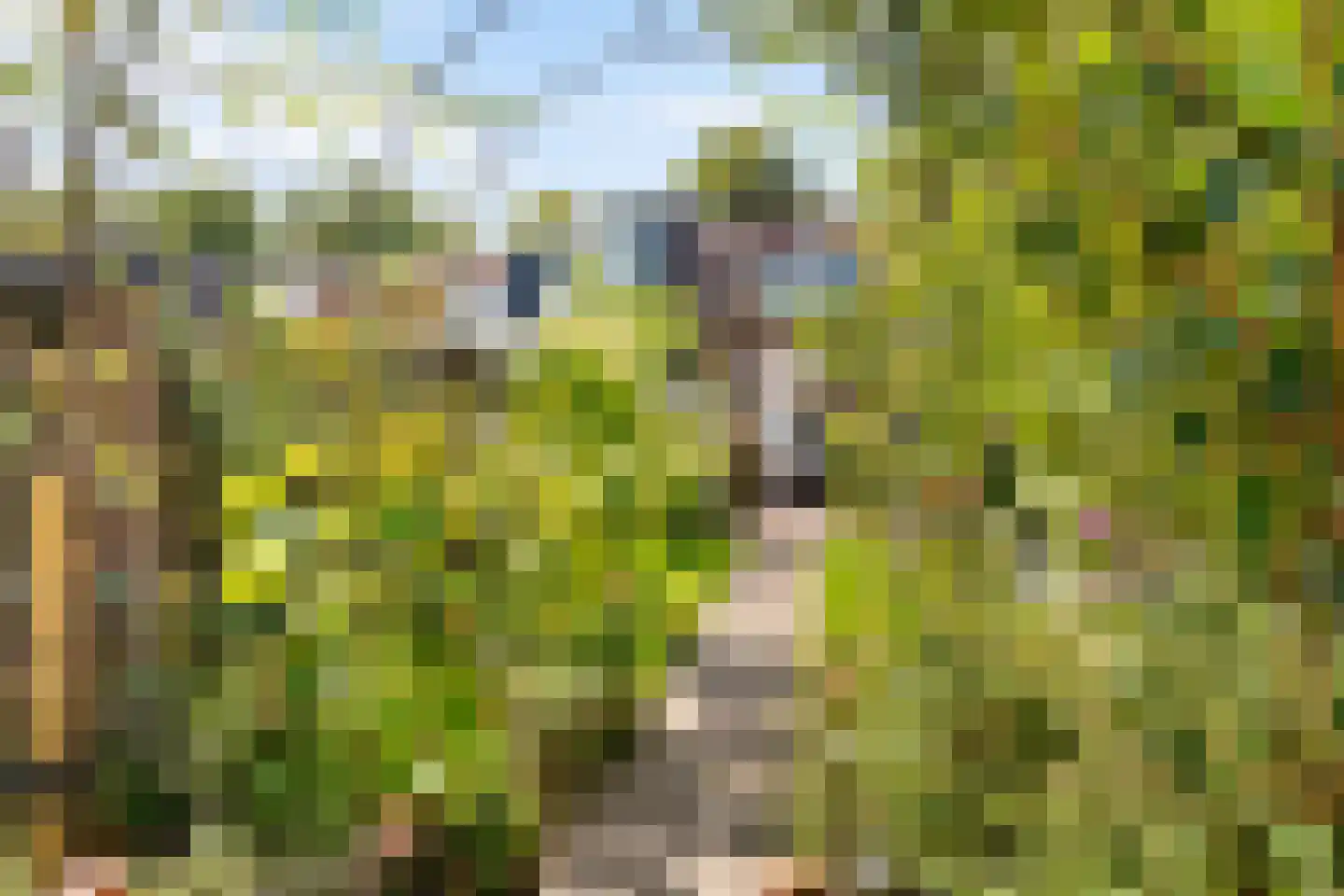 Bavelselaan 43 Breda thumbnail 23