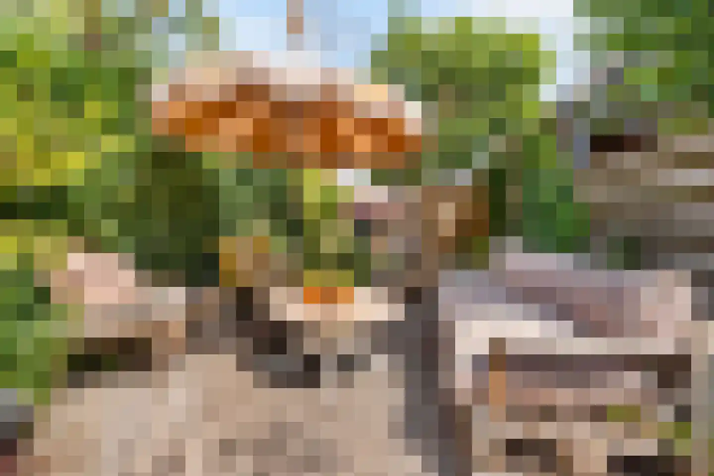 Bavelselaan 43 Breda thumbnail 24