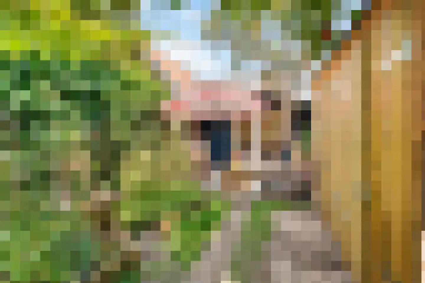 Bavelselaan 43 Breda thumbnail 27