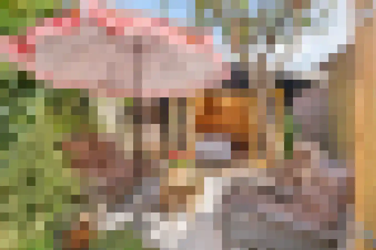 Bavelselaan 43 Breda thumbnail 28