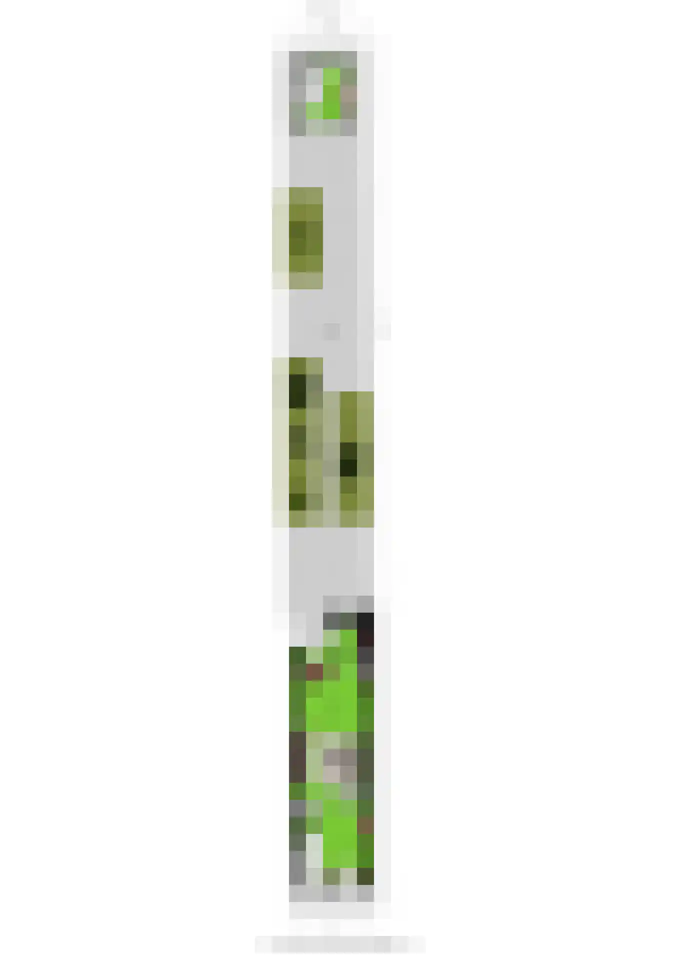 Bavelselaan 43 Breda thumbnail 41