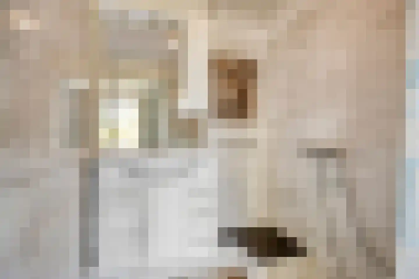Bavelselaan 468 A Breda thumbnail 21