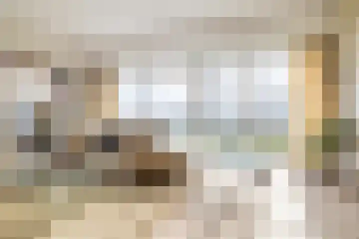 Bavelselaan 494 Breda thumbnail 16