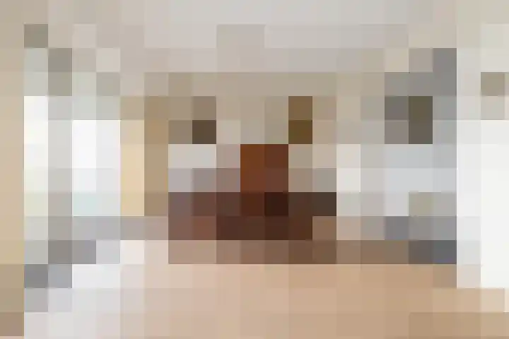 Bavelselaan 494 Breda thumbnail 18